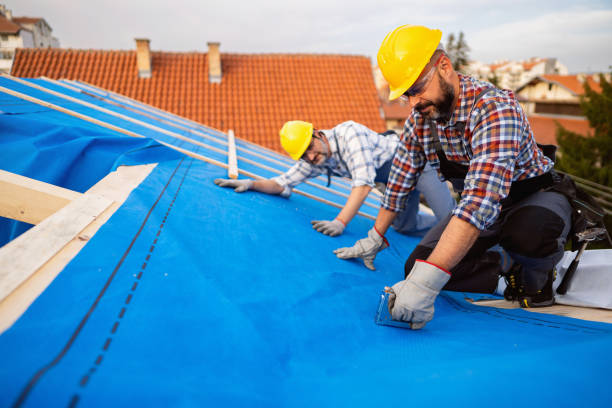 Best Roof Maintenance Services  in West Union, OH