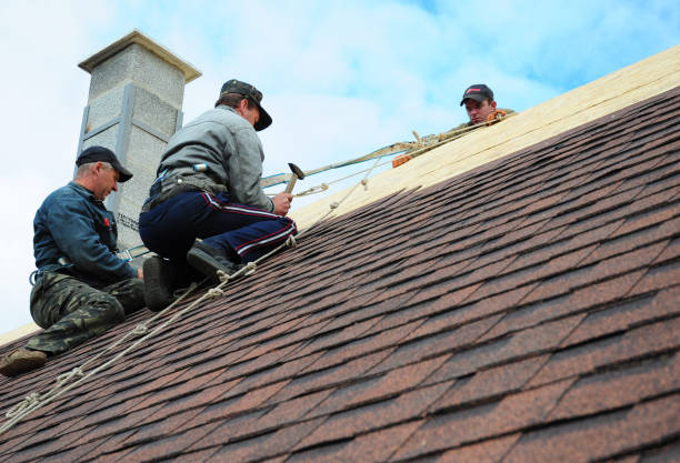 Best Gutter Installation and Roofing  in West Union, OH